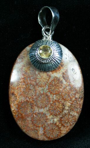 Beautiful Fossil Coral Pendant #7714